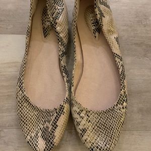 Bloch Snakeskin Flats. Size 42. Great condition.